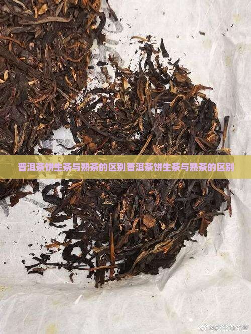 普洱茶饼生茶与熟茶的区别