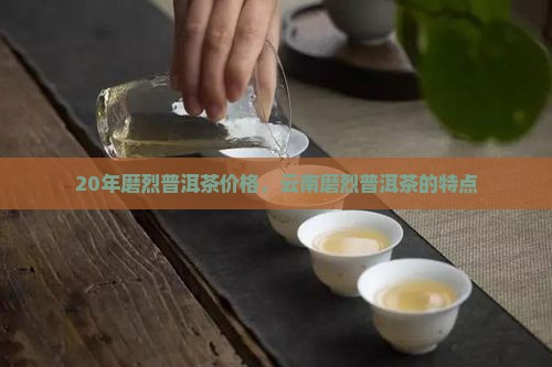 20年磨烈普洱茶 20年磨烈普洱茶