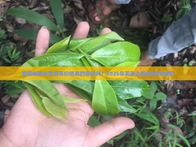 普御林陈年普洱茶价格