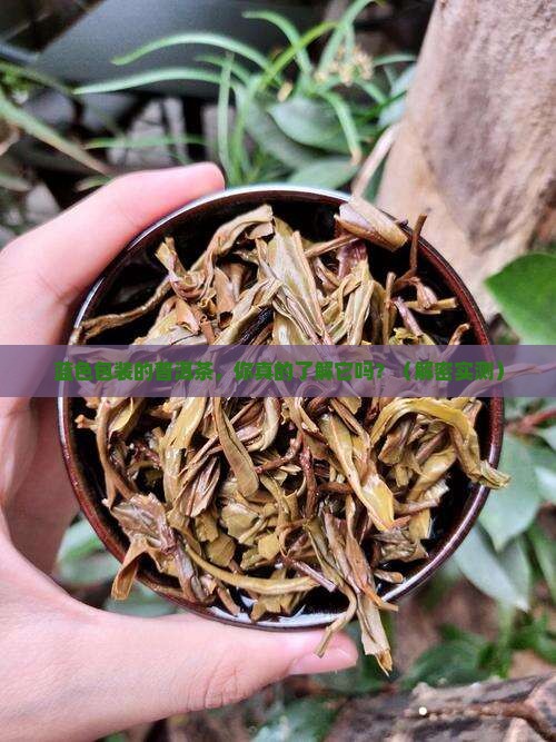 蓝色包装的普洱茶品牌