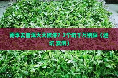 普洱雨季整天下雨吗