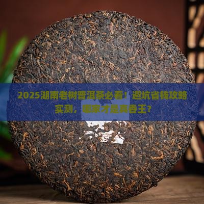 湖南老树普洱茶哪家好
