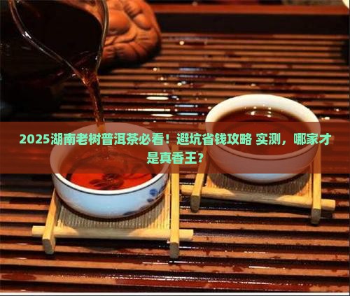 湖南老树普洱茶哪家好