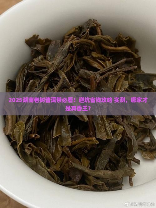 湖南老树普洱茶哪家好