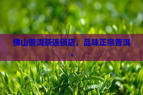 佛山普洱茶连锁店