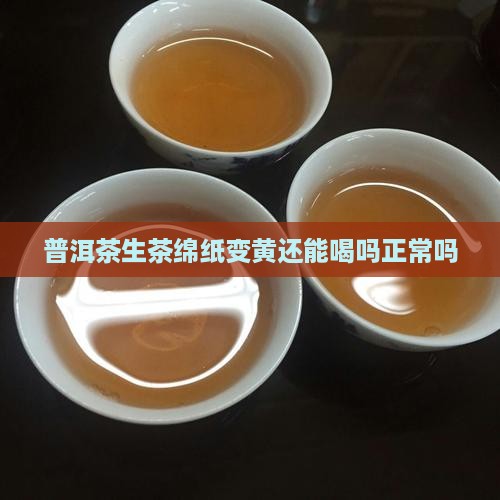 普洱茶生茶绵纸变黄