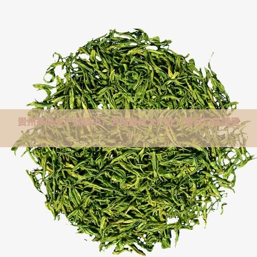 贵州茶叶生产规模小