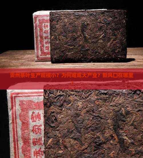 贵州茶叶生产规模小