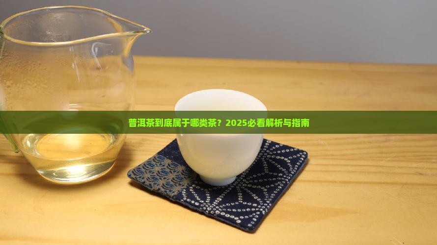 普洱茶属干什么茶 普洱茶属干什么茶