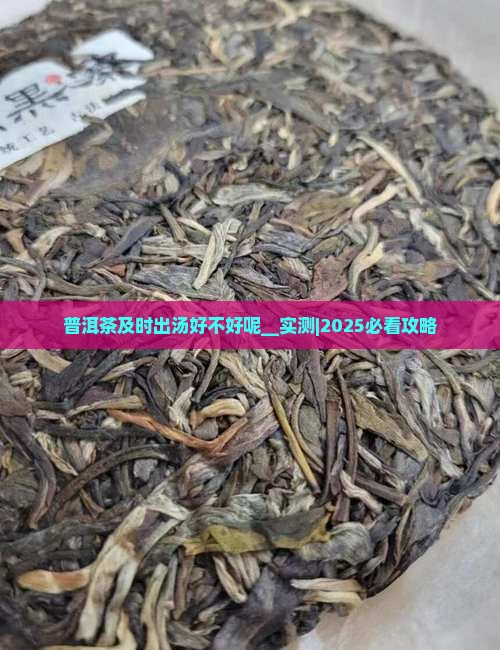 普洱茶及时出汤好不好呢 普洱茶及时出汤好不好呢