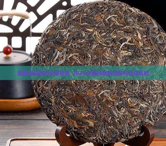 哪里能买到好的普洱茶