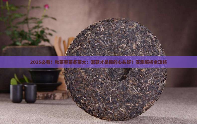 秋茶和春茶冬茶有什么不同