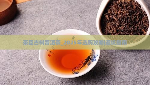 茶臣古树普洱茶