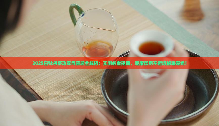 白牡丹茶的功效与禁忌