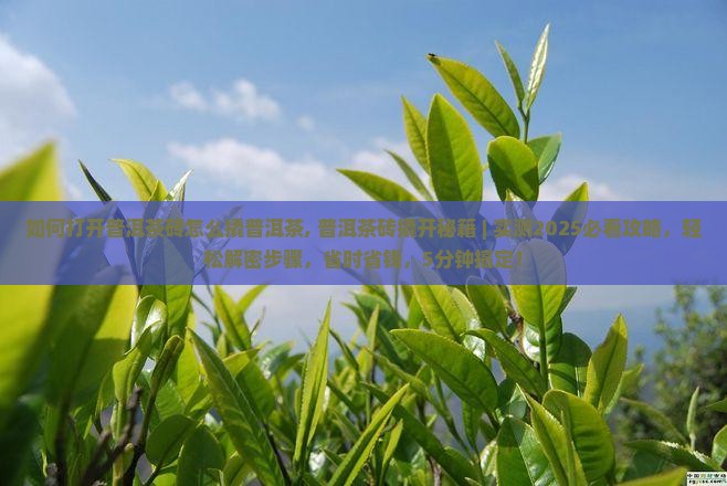 如何打开普洱茶砖怎么撬普洱茶