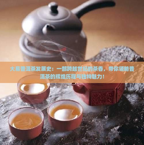 大易普洱茶发展史
