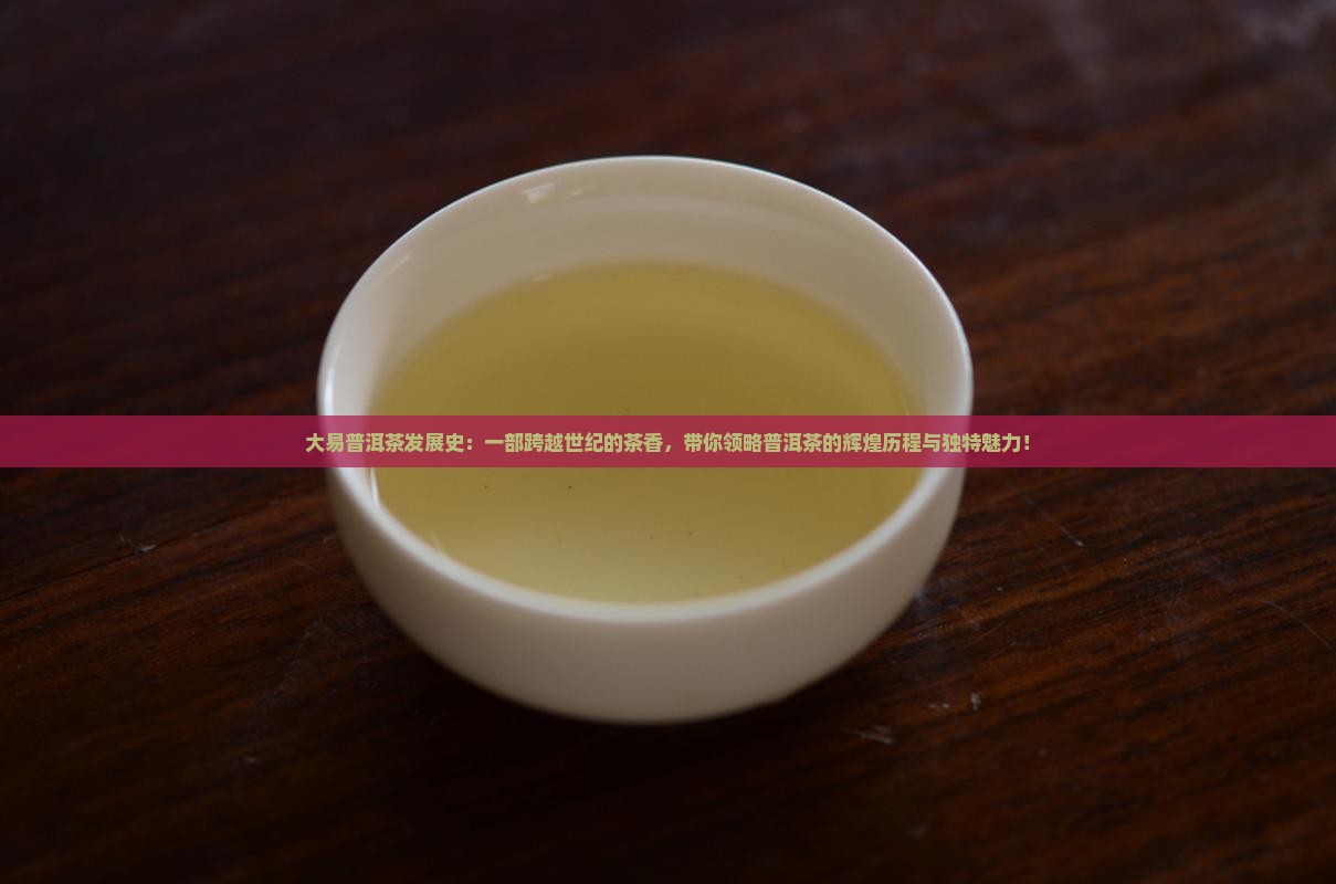 大易普洱茶发展史