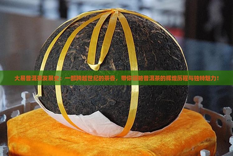 大易普洱茶发展史