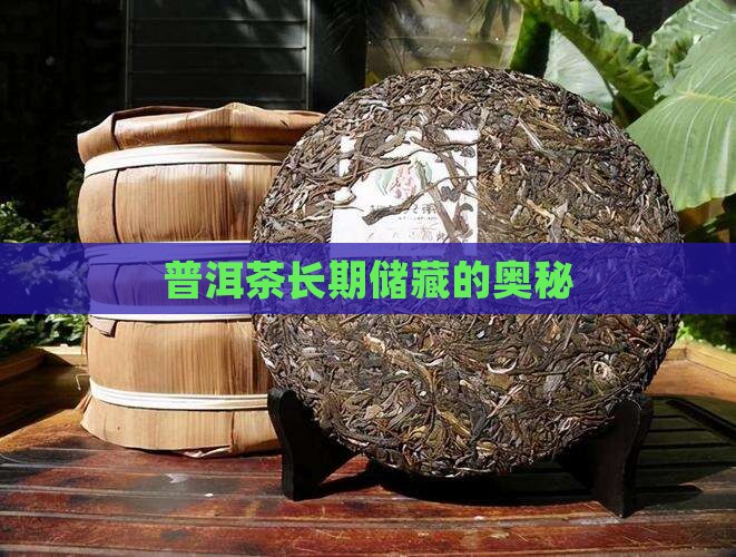 普洱茶可以长期储藏