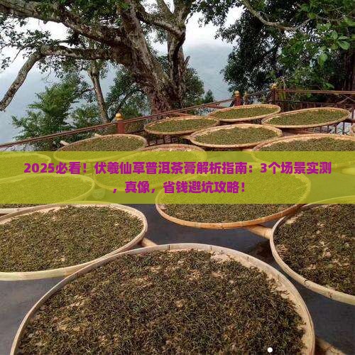 伏羲仙草普洱茶膏