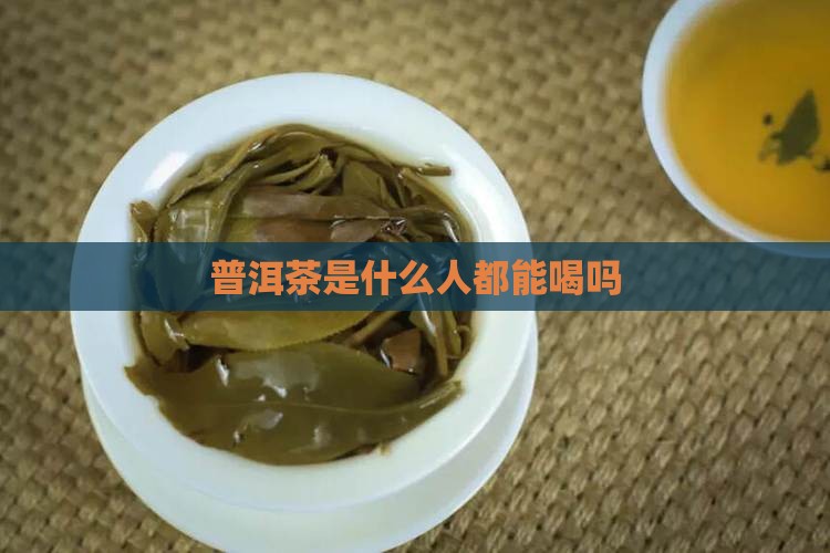 普洱茶是什么人都能喝吗
