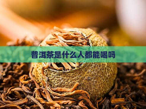普洱茶是什么人都能喝吗