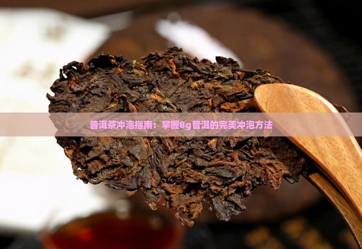 普洱茶8g冲泡