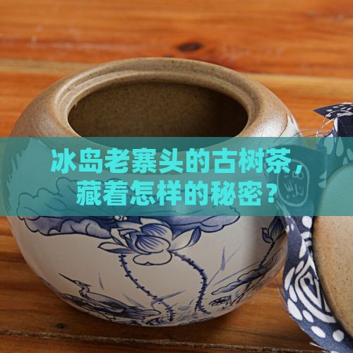冰岛老寨头的古树茶