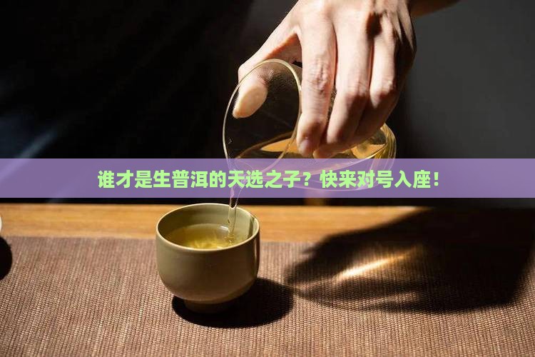 生普洱茶适合哪些人喝