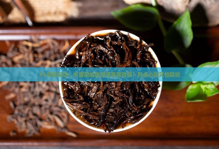 东营茶城普洱茶怎么样