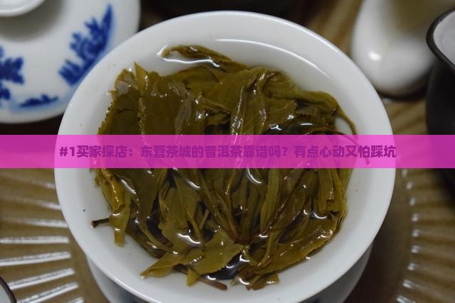 东营茶城普洱茶怎么样