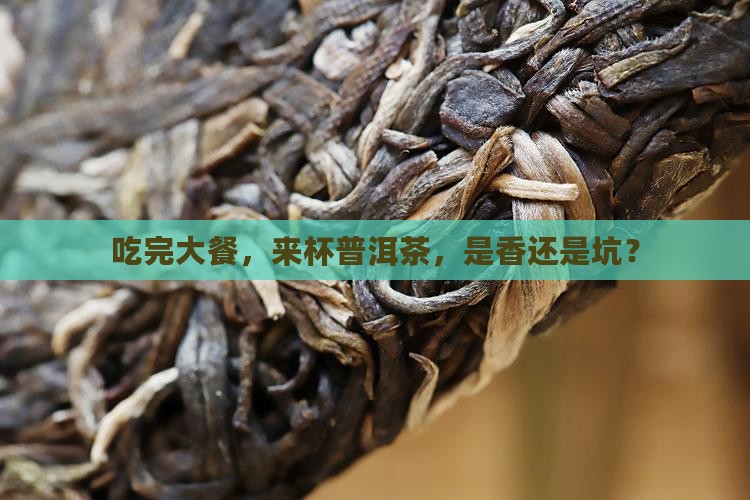 吃完大餐喝普洱茶可以吗