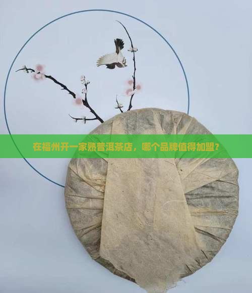 福州熟普洱茶品牌加盟