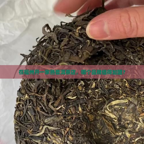 福州熟普洱茶品牌加盟