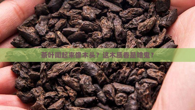 茶叶木质香是什么意思