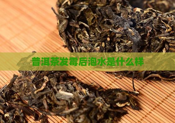 普洱茶发霉后泡水是什么样