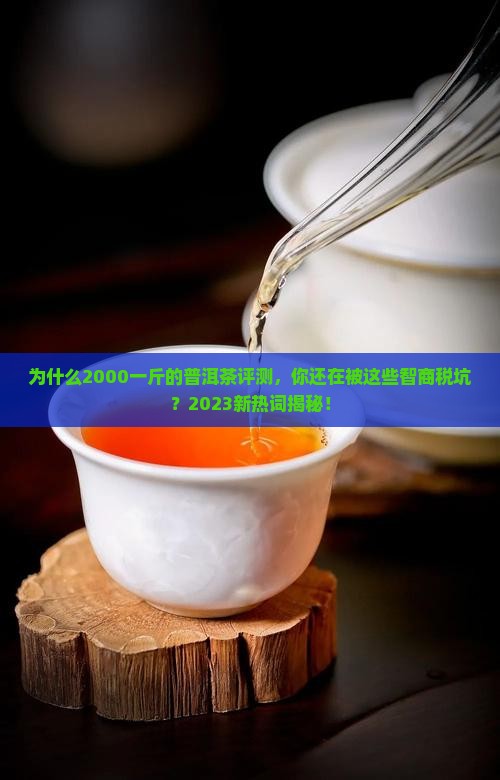 2000一斤普洱茶评测