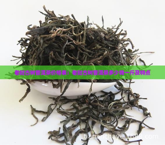 老挝古树普洱茶