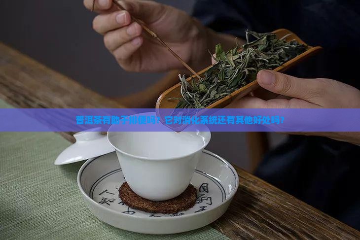 普洱茶喝有助于排便吗