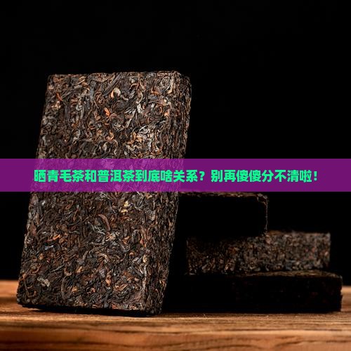 大叶种晒青毛茶是普洱茶吗