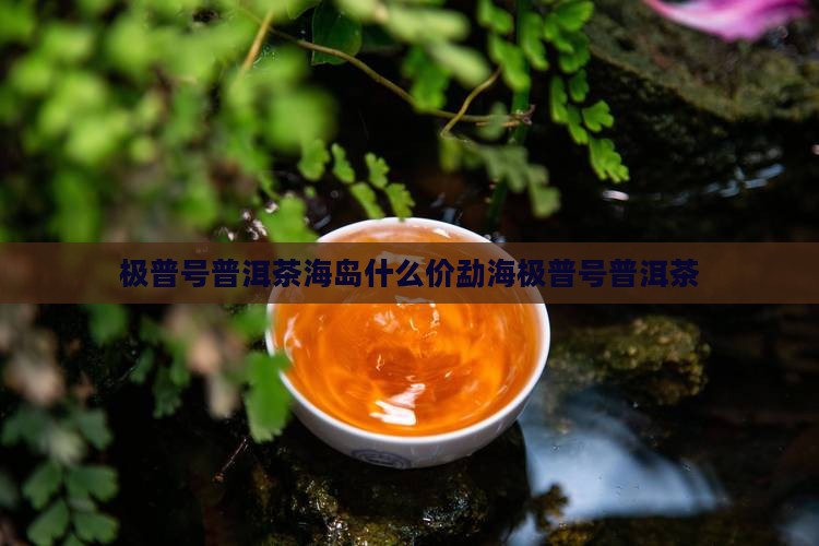 极普号普洱茶海岛