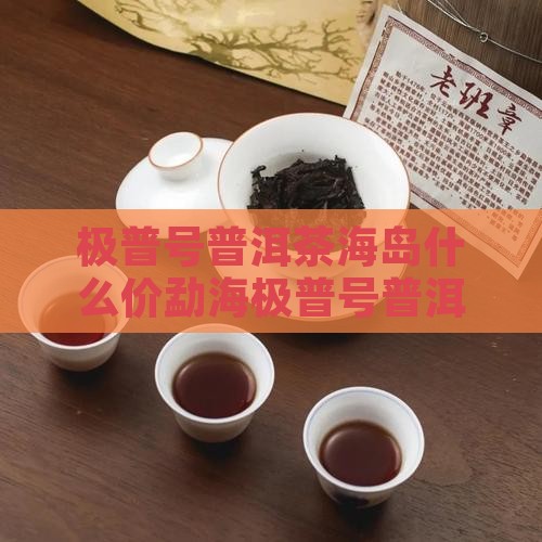 极普号普洱茶海岛