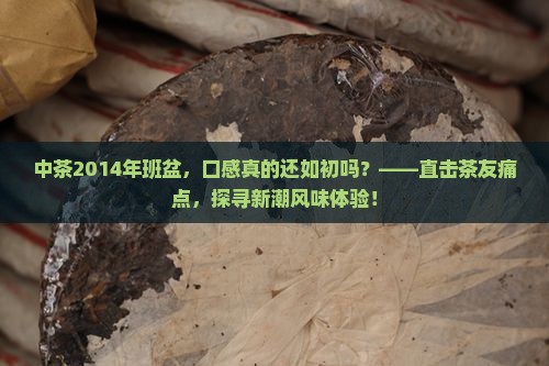 中茶2014年班盆