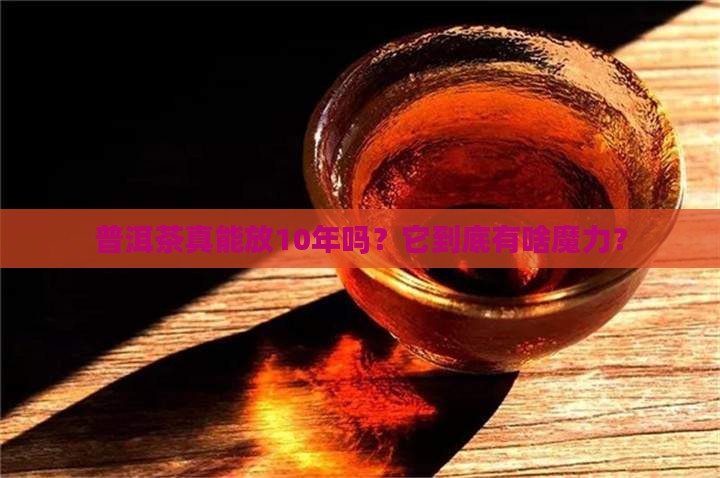 普洱茶保质期10年吗多久