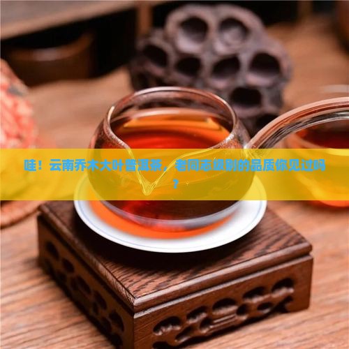 云南乔木大叶普洱茶老同志