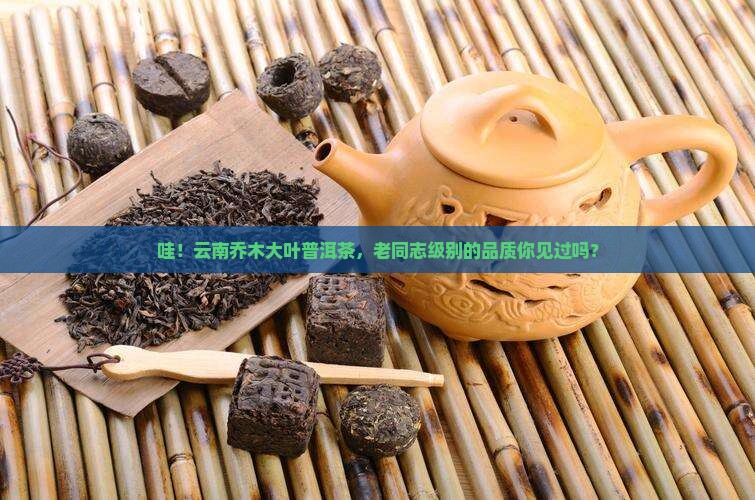 云南乔木大叶普洱茶老同志