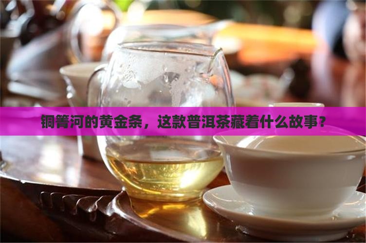 铜箐河黄金条普洱茶