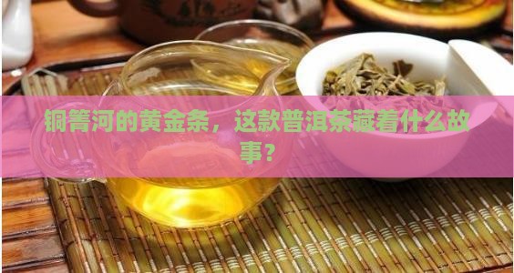 铜箐河黄金条普洱茶