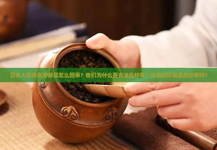 日本人在冰岛炒茶