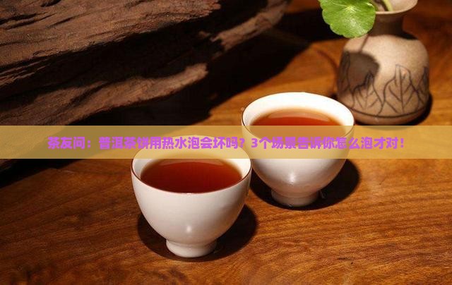 普洱茶饼可以用热水泡吗